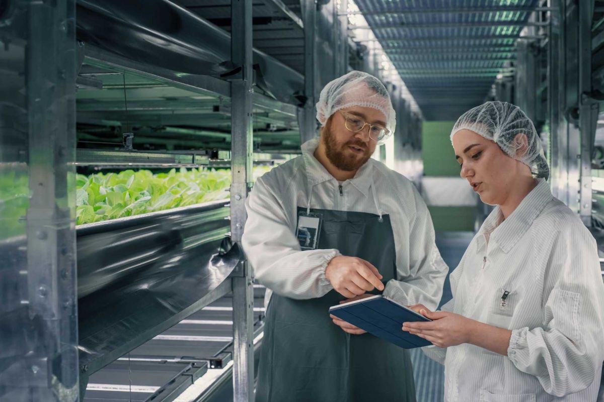 O que Considerar ao Escolher um Fornecedor para a Indústria de Alimentos?
