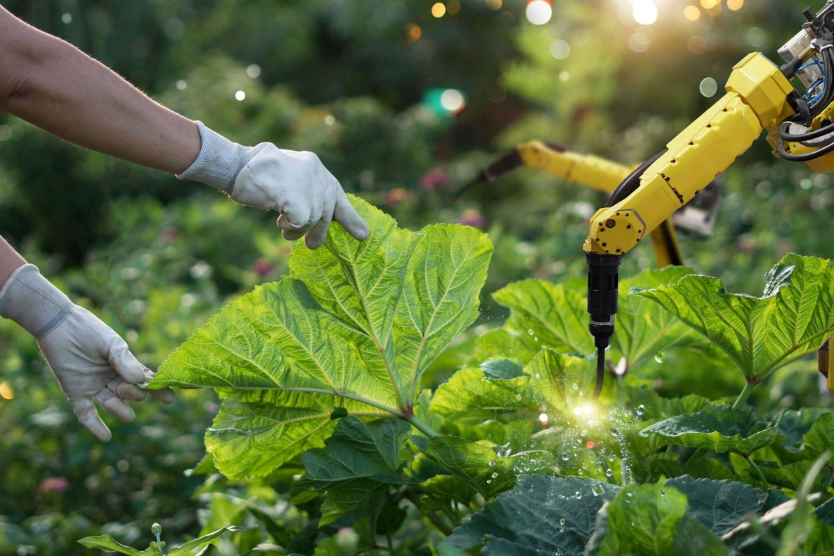 What is Food Processing?